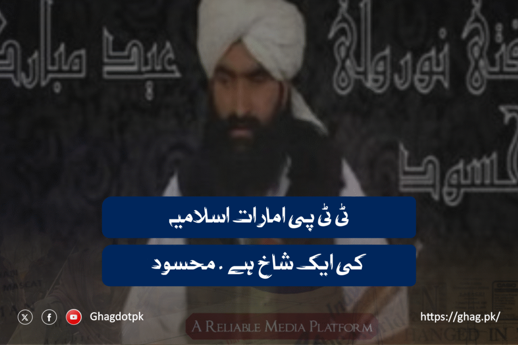 ٹی ٹی پی امارات اسلامیہ کی ایک شاخ ہے ۔ محسود