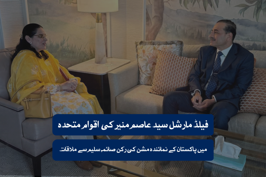 فیلڈ مارشل سید عاصم منیر کی اقوام متحدہ میں پاکستان کے نمائندہ مشن کی رکن صائمہ سلیم سے ملاقات