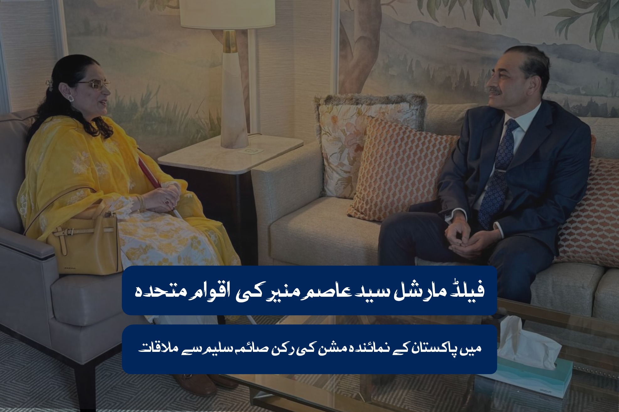 فیلڈ مارشل سید عاصم منیر کی اقوام متحدہ میں پاکستان کے نمائندہ مشن کی رکن صائمہ سلیم سے ملاقات