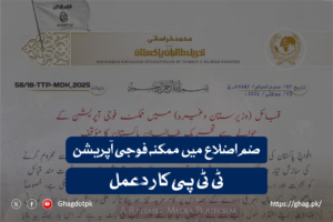 ضم اضلاع میں ممکنہ فوجی آپریشن، ٹی ٹی پی کا ردعمل